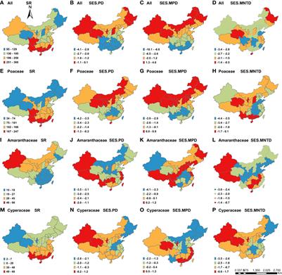 Geographic distribution of C4 species and its phylogenetic structure across China